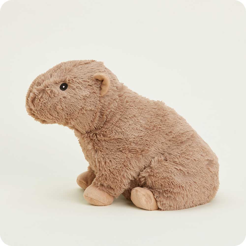Image 107: Microwavable Capybara